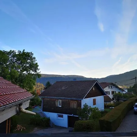 Chez Alixe - Appartement Avec Terrasse Gérardmer Exterior foto